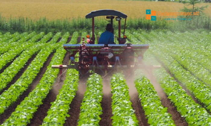 Ngành nông nghiệp tại Nhật Bản tương lai rộng mở cho lao động Việt Nam