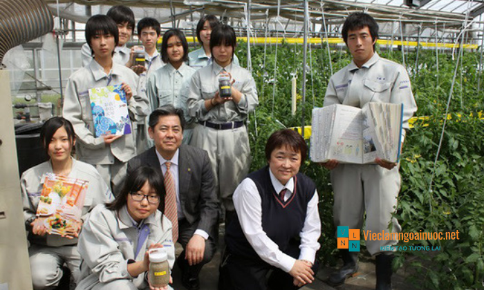 Làm nông nghiệp tại Nhật Bản tuyển 30 nữ làm tại tỉnh Kumamoto