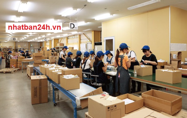 Đơn hàng đi Nhật 1 năm tuyển 48 Nữ đóng gói công nghiệp tại Yamanashi